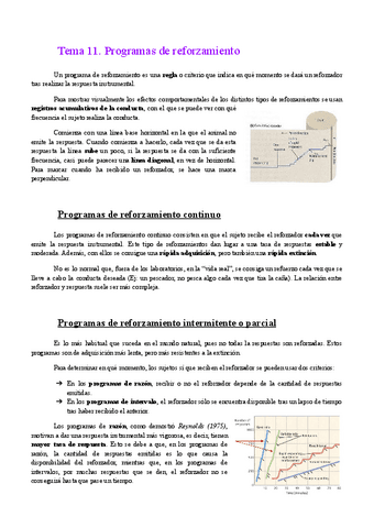 Tema-11.-Programas-de-reforzamiento.pdf