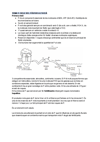 TEMA-7-CICLE-DEL-FOSFOR-A-LOCEA.pdf