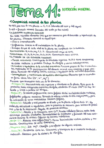 Tema-11-nutricion-mineral.pdf