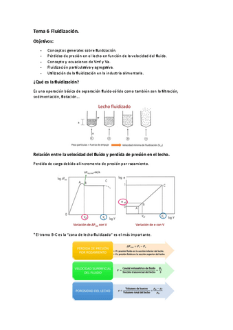 Tema-6-Fluidizacion.pdf