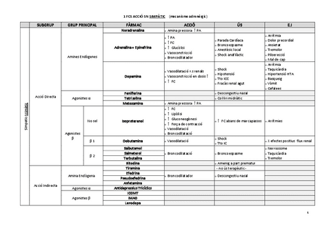 esquema-fcs.pdf