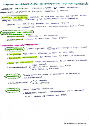 ESQUEMAS-INTRO-A-LA-ECONOMIA.pdf