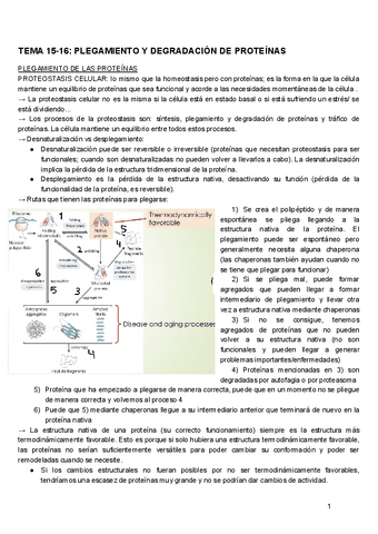 BIOSINTESIS-TEMA-15-16.pdf