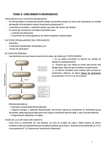 MICROBIOLOGIA-TEMA-4.pdf