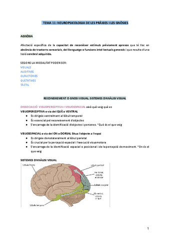 TEMA-11-NEUROPSICOLOGIA-DE-LES-PRAXIES-I-LES-GNOSIES.pdf