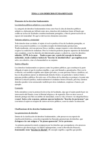 Apuntes-Derechos-Fundamentales.pdf