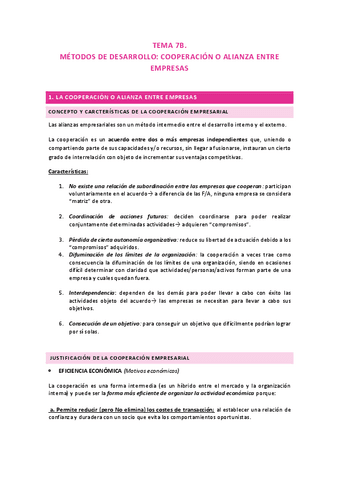 TEMA-7B-Direccion-estrategica.pdf