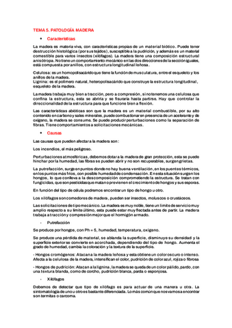 RESUMEN-TEMA-5-MADERA.pdf