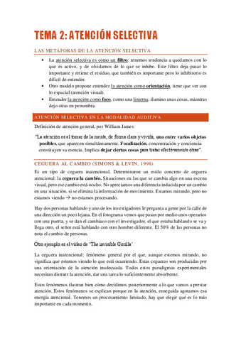 Teoria-Atencion-Susana-Completos.pdf
