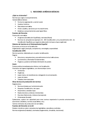 TEMA-1-RESUMEN-JURIDICO-PARA-ESTUDIAR.pdf