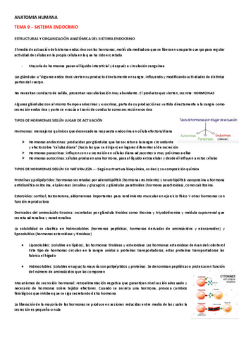 ANATOMIA-HUMANA-TEMA-9.pdf