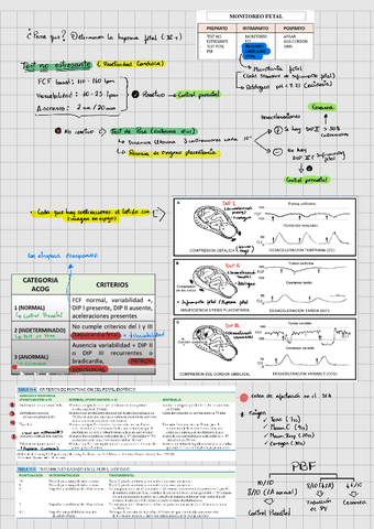 Evaluacion-gestacional.pdf