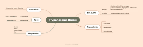 Parasitologia-Trypanosoma-brucei.png