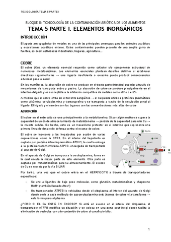 TEMA-5-P1.pdf