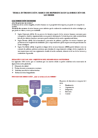 APUNTES-COMPLETOS-RRHH.pdf