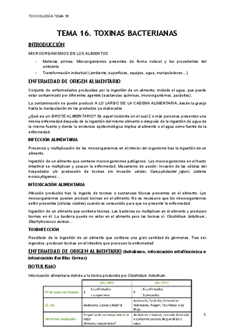 TEMA-16.pdf