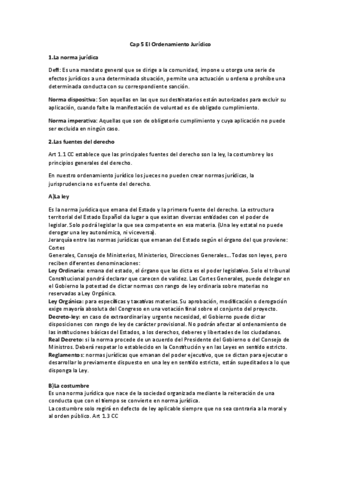 Cap-5.pdf
