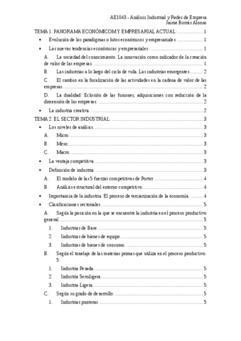 Apuntes-de-Analisis-Industrial-y-Redes-de-Empresa.pdf