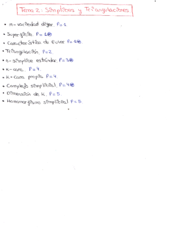 TPG APUNTES TEMA 2 SIMPLICES Y TRIANGULACIONES.pdf