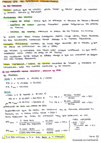 TEMA-25.-EL-SISTEMA-MONETARIO.pdf