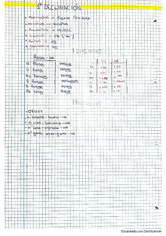 DECLINACIONES-LATIN.pdf