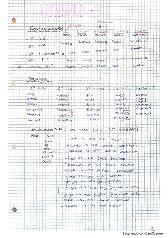 APUNTES-LATIN-TEMA-3..pdf