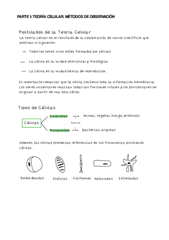 LA-CELULA.-METODOS-DE-OBSERVACION.-ORGANULOS-Y-MEMBRANA..pdf