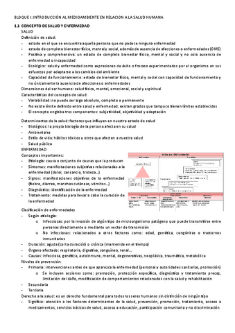 Apuntes-COMPLETOS.pdf