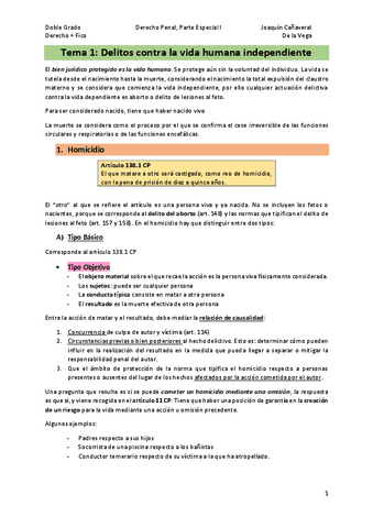 Tema-1Delitos-contra-la-vida-humana-independiente.pdf