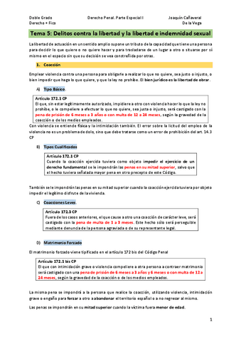 Tema-5Delitos-contra-la-libertad.pdf