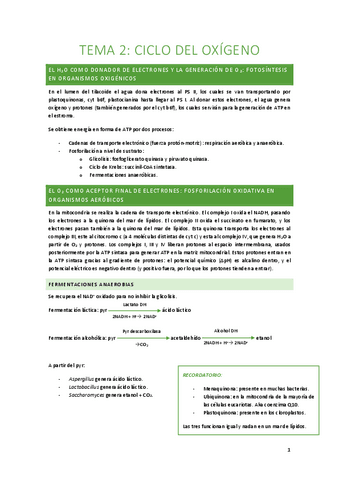 Tema-2-Ciclo-del-oxigeno.pdf