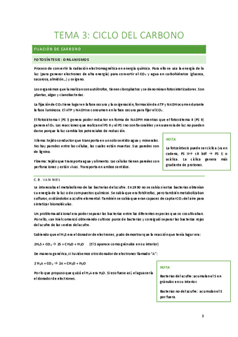 Tema-3-Ciclo-del-carbono.pdf