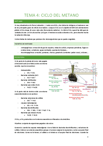 Tema-4-Ciclo-del-metano.pdf