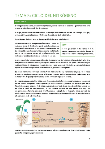 Tema-5-Ciclo-del-nitrogeno.pdf