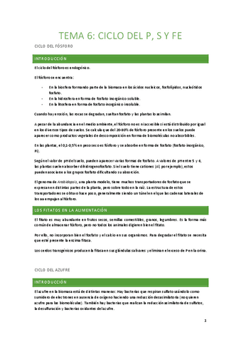 Tema-6-Ciclo-del-P-S-y-Fe.pdf