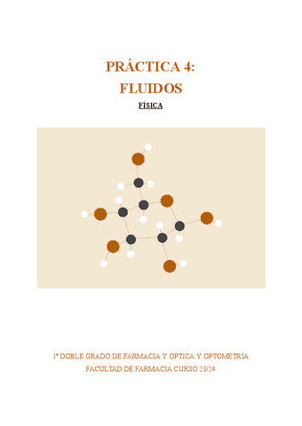 MEMORIA-PRACTICA-4-FLUIDOS-2.pdf