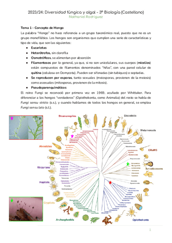 Diversidad-fungica-y-algal-completo.pdf