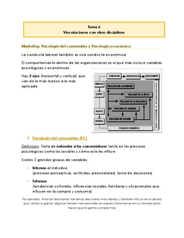 Tema-6-Vinculaciones-con-otras-disciplinas-Psicologia-Economica-y-del-Consumidor.pdf
