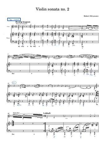 Schumann.pdf