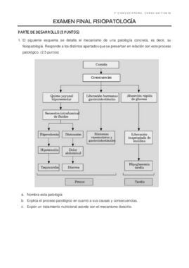 EXAMEN FINAL FISIOPATOLOGÍA.pdf