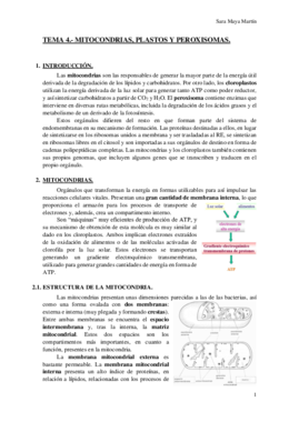 TEMA 4.- MITOCONDRIAS- PLASTOS Y PEROXISOMAS.pdf