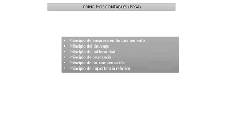 Principios-Contables.pdf