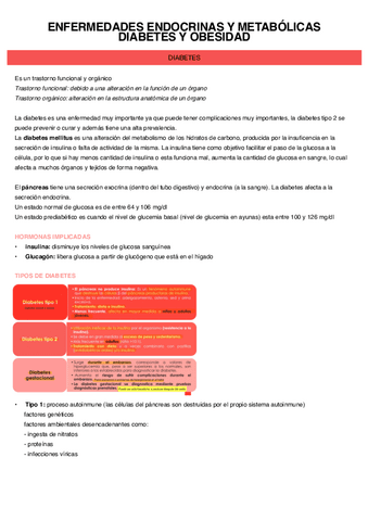 Diabetes-Y-Obesidad.pdf