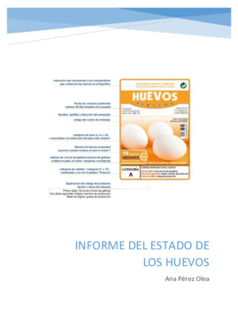 4. Informe de los huevos.pdf