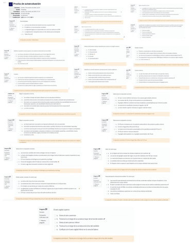 Autoevaluacion-Online-2324-Revision-Para-Examen-Final.pdf