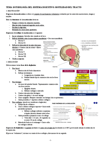 FISIOLOGIA-II-TEMA-18-FISIOLOGIA-DEL-SISTEMA-DIGESTIVO-MOTILIDAD-DEL-TRACTO.pdf