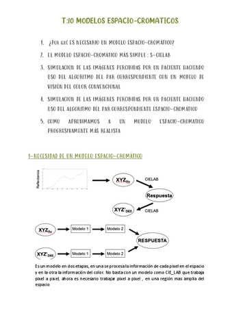 T10-MODELOS-ESPACIO-CROMATICOS.pdf