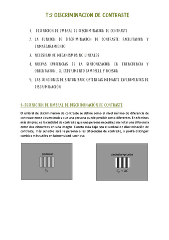 T2-DISCRIMINACION-DE-CONTRASTE.pdf