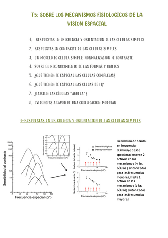 T5-MECANISMOS-FISIOLOGICOS-DE-LA-VISION-ESPACIAL.pdf
