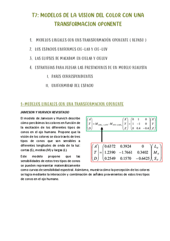 T7-MODELOS-CON-UNA-TRANSFORMACION-OPONENTE.pdf